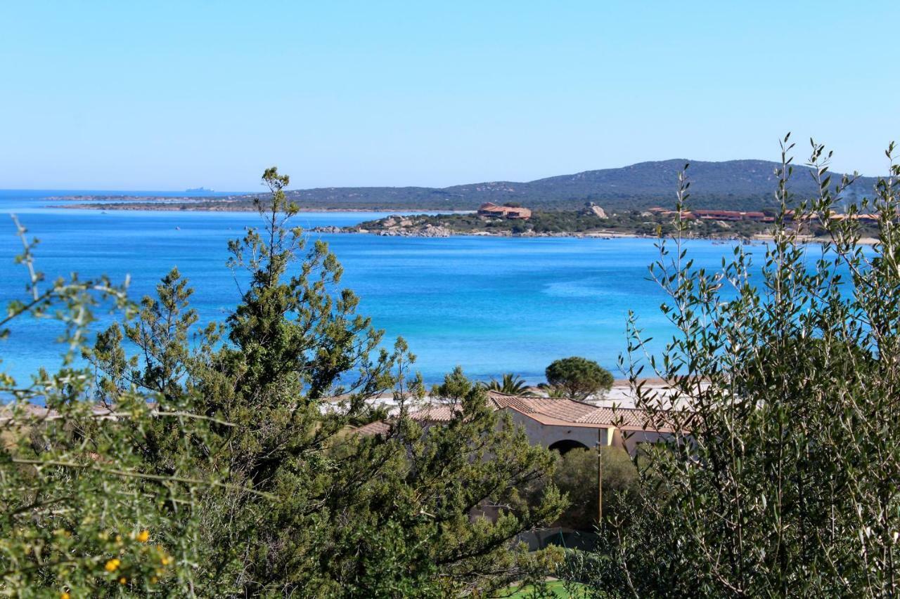 Апартаменты Casa Vacanze Il Corbezzolo - Golfo Di Marinella Порто-Ротондо Экстерьер фото